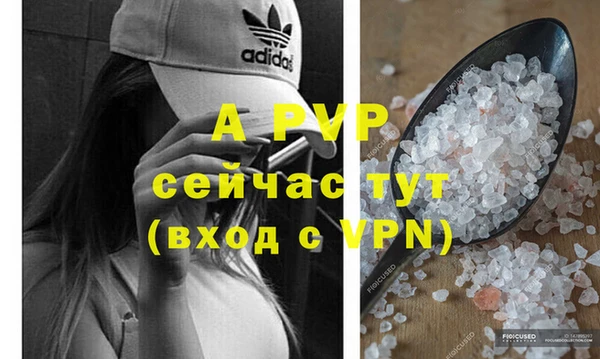 трава Верея
