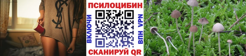 Купить где  Похвистнево  Псилоцибиновые грибы ЛСД 